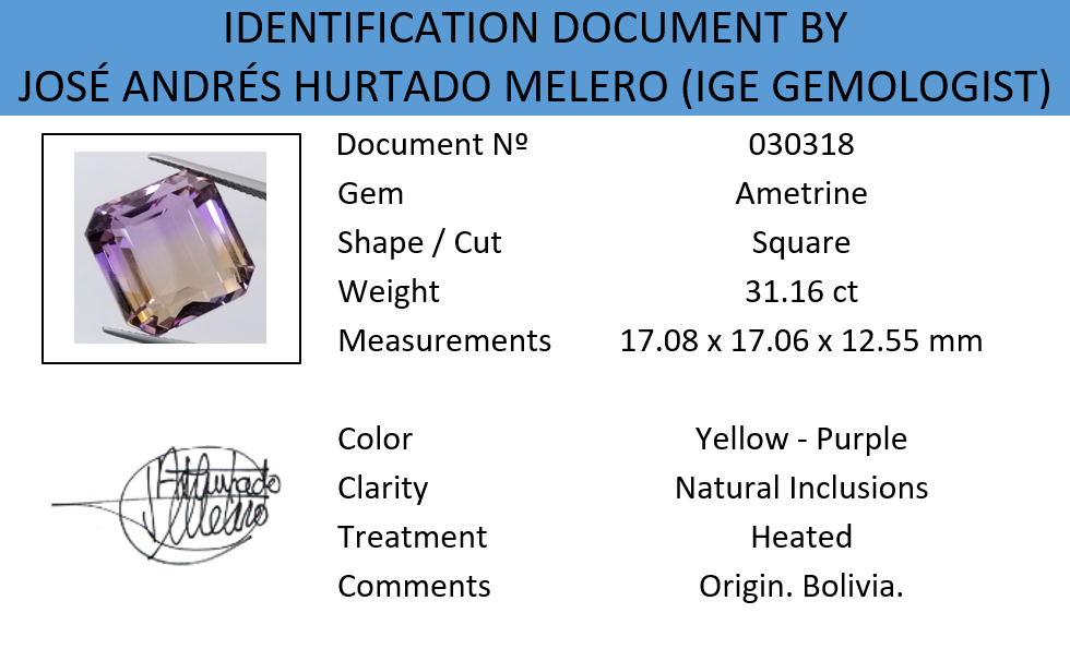 Ametrino 31,16ct Violeta, Amarillo - Imagen 11