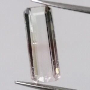 Turmalina Bicolor 1,56ct Bicolor