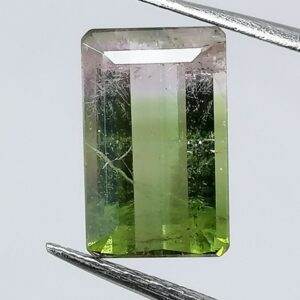Turmalina Bicolor 2,13 ct